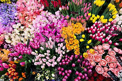 恶魔与少女携手复仇故事，《被虐的诺艾尔》NS版正式发售