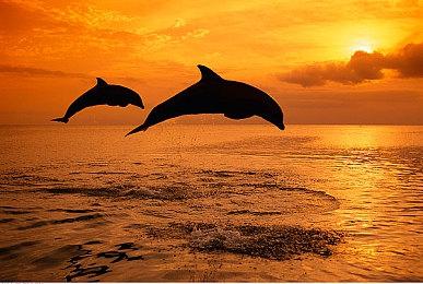 像素风格FPS游戏《Witch Rise》月末全平台发售